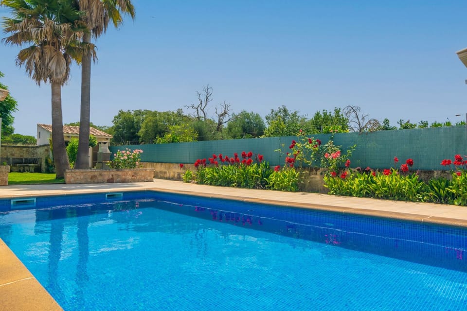 Holiday Home Swimming Pool