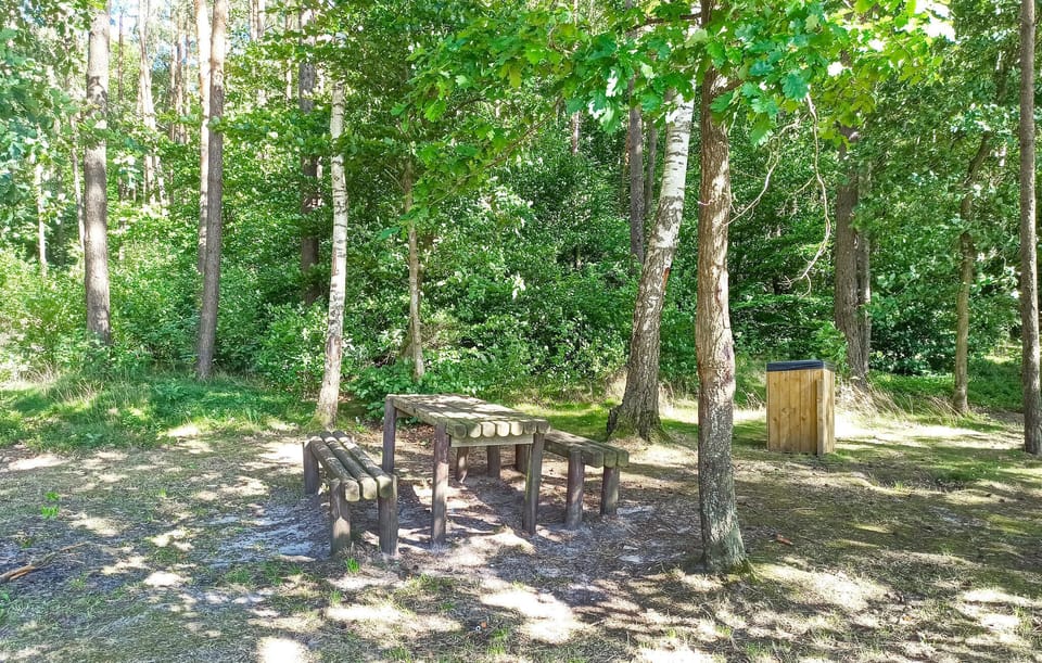 area