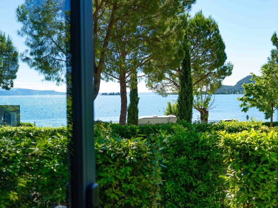 Plant, Water, Sky, Flower, Green, Natural Landscape, Land Lot, Vegetation, Tree, Building