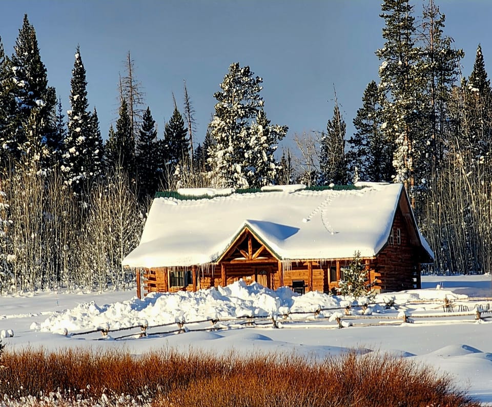 winter wonderland 