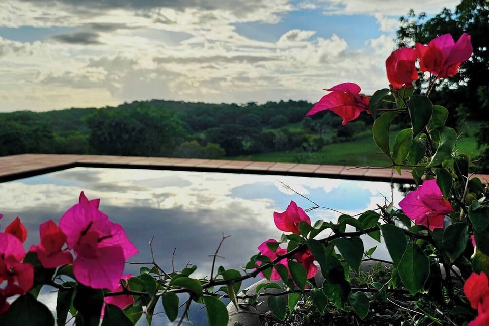 The view guests remember most: sunset reflections, tropical blooms, and complete privacy.