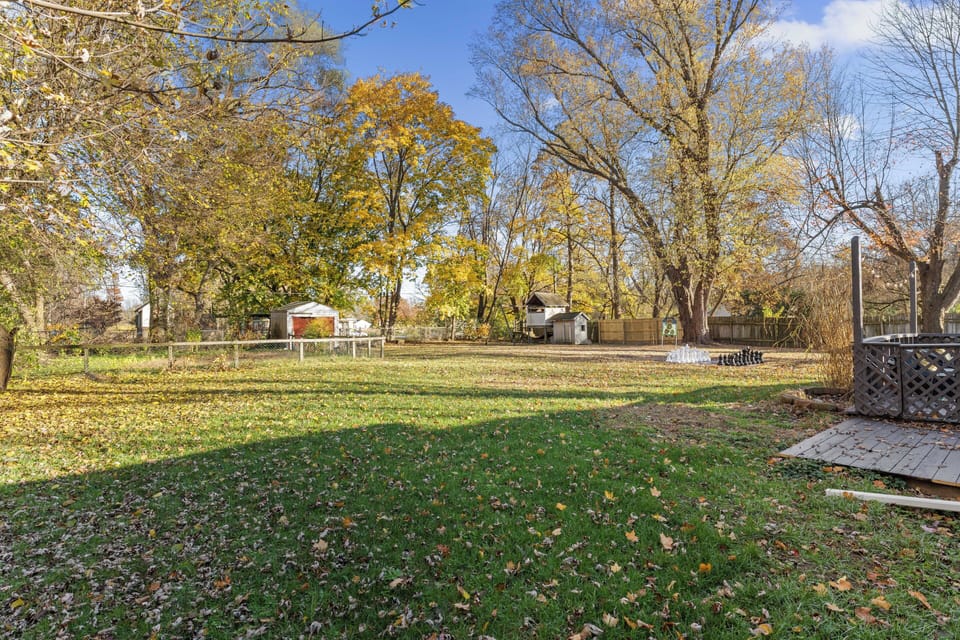 Lined trees in the backyard