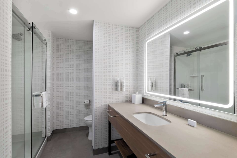 Room, 1 King Bed, Accessible, Bathtub | Bathroom shower