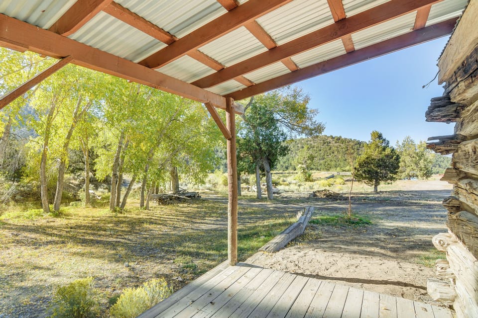 Front Porch | Mountain & Forest Views