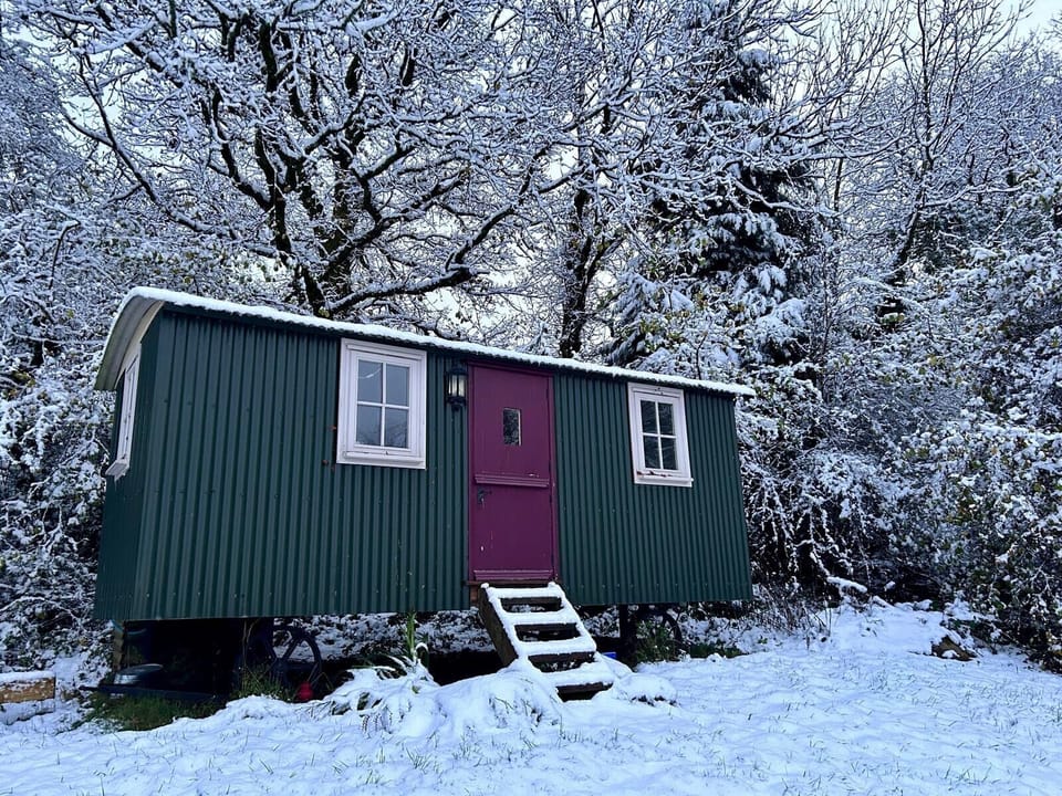 Cabin | Exterior