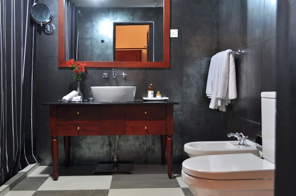 Deluxe Double Room, 1 King Bed, Accessible, Garden View | Bathroom | Shower, hair dryer, bidet, towels