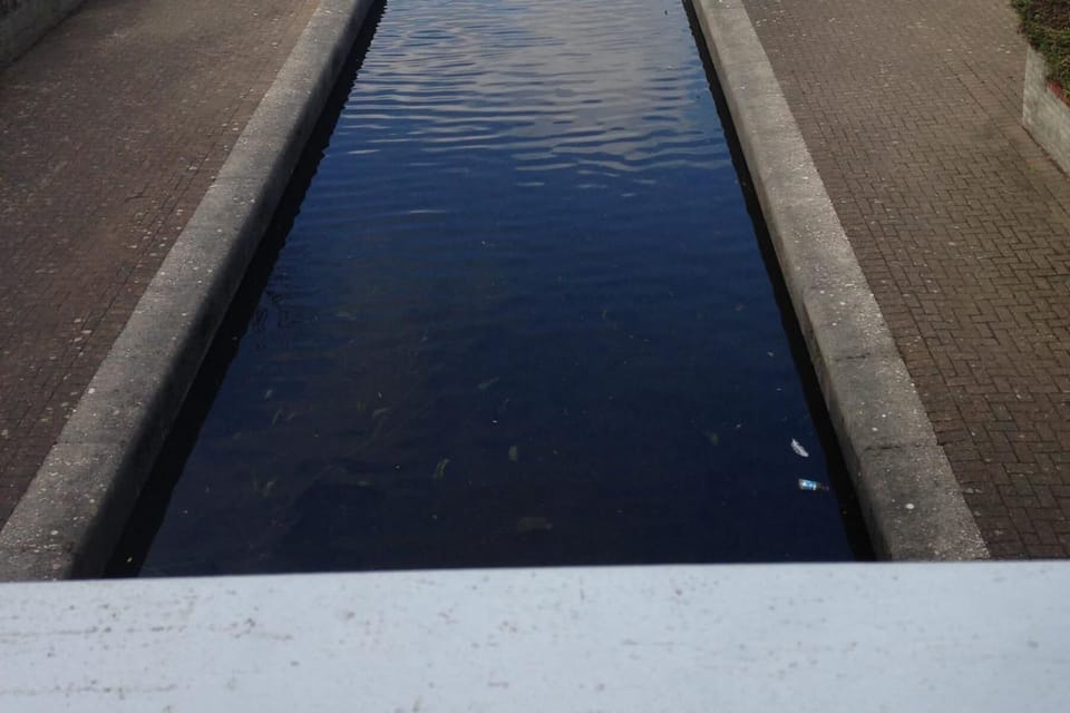 Image 15