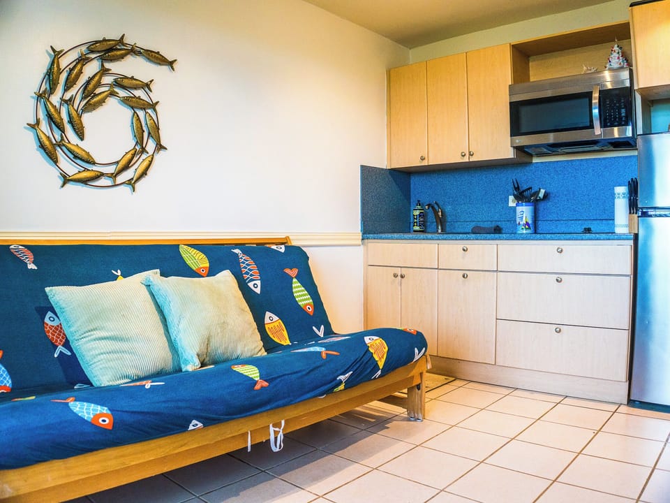 Kitchenette with basics and full size futon, comfortable for 2 guests