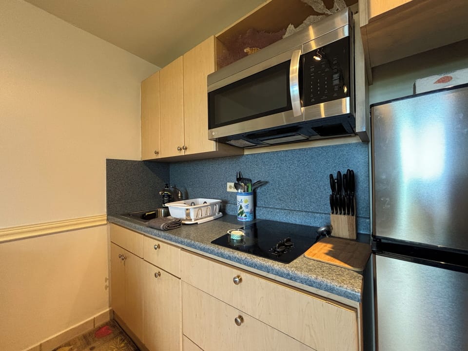 Kitchen w/ 2 stove top, full size refrigerator and microwave