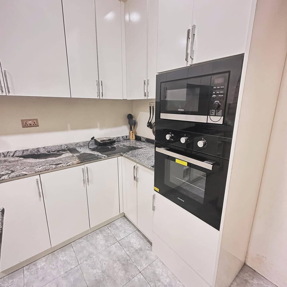 Junior Apartment, Balcony, City View | Private kitchen | Fridge, microwave, oven, stovetop