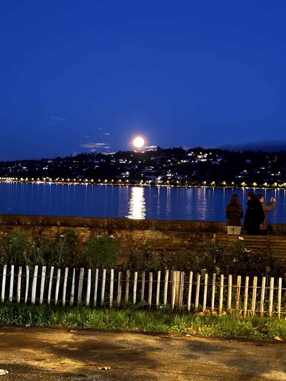 Evening nearby lake