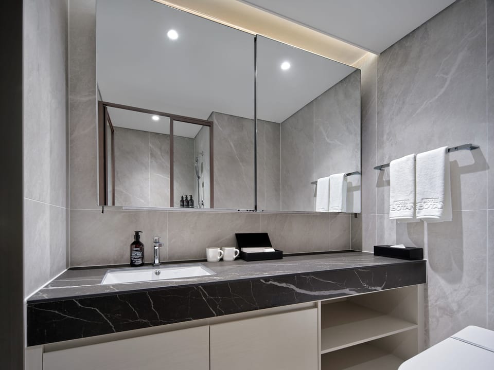 Shower, hair dryer, slippers, bidet