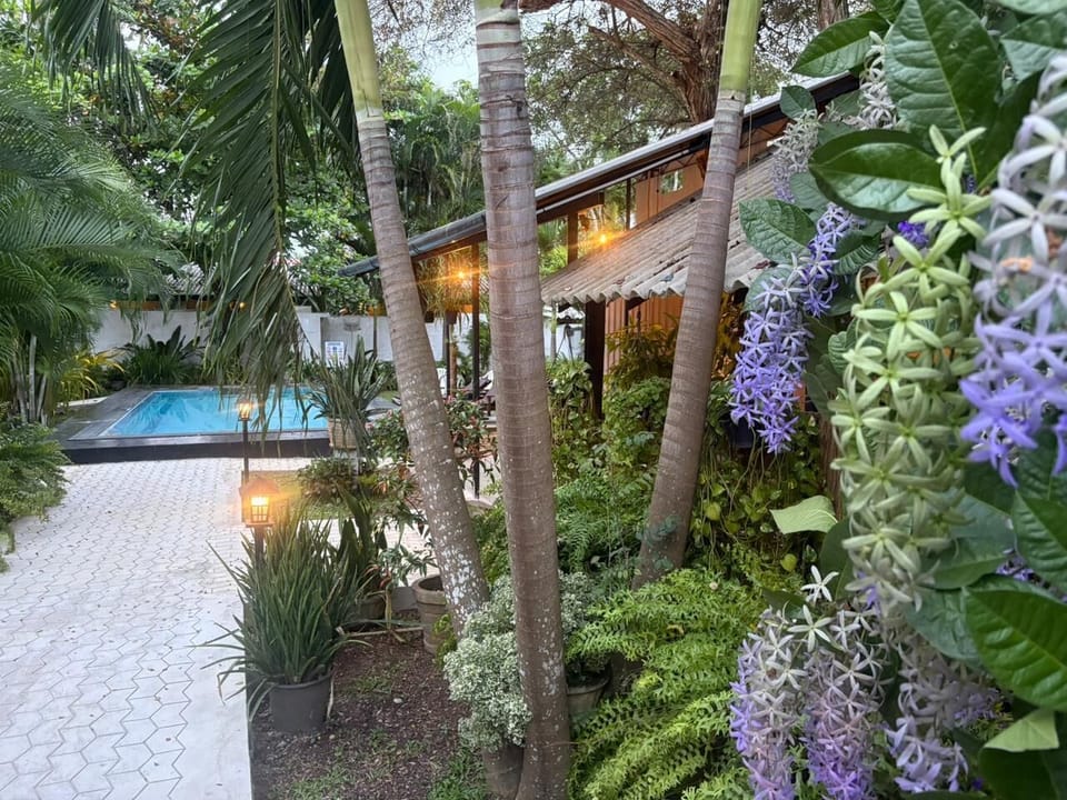 Deluxe Double or Twin Room, 1 Bedroom, Private Bathroom, Pool View | View from room