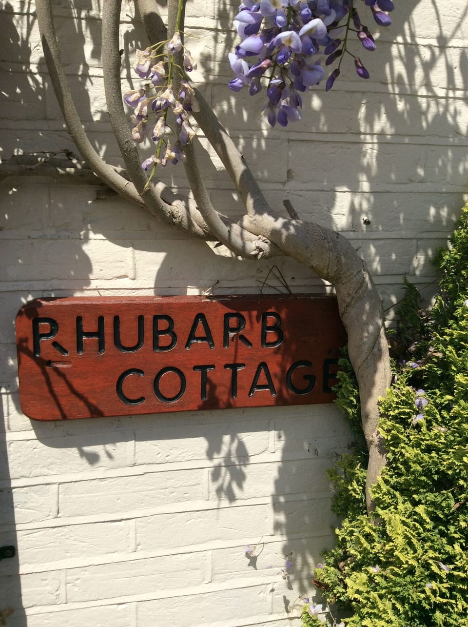 Rhubarb Cottage on The Custards:-). The Wisteria is stunning in spring/summer