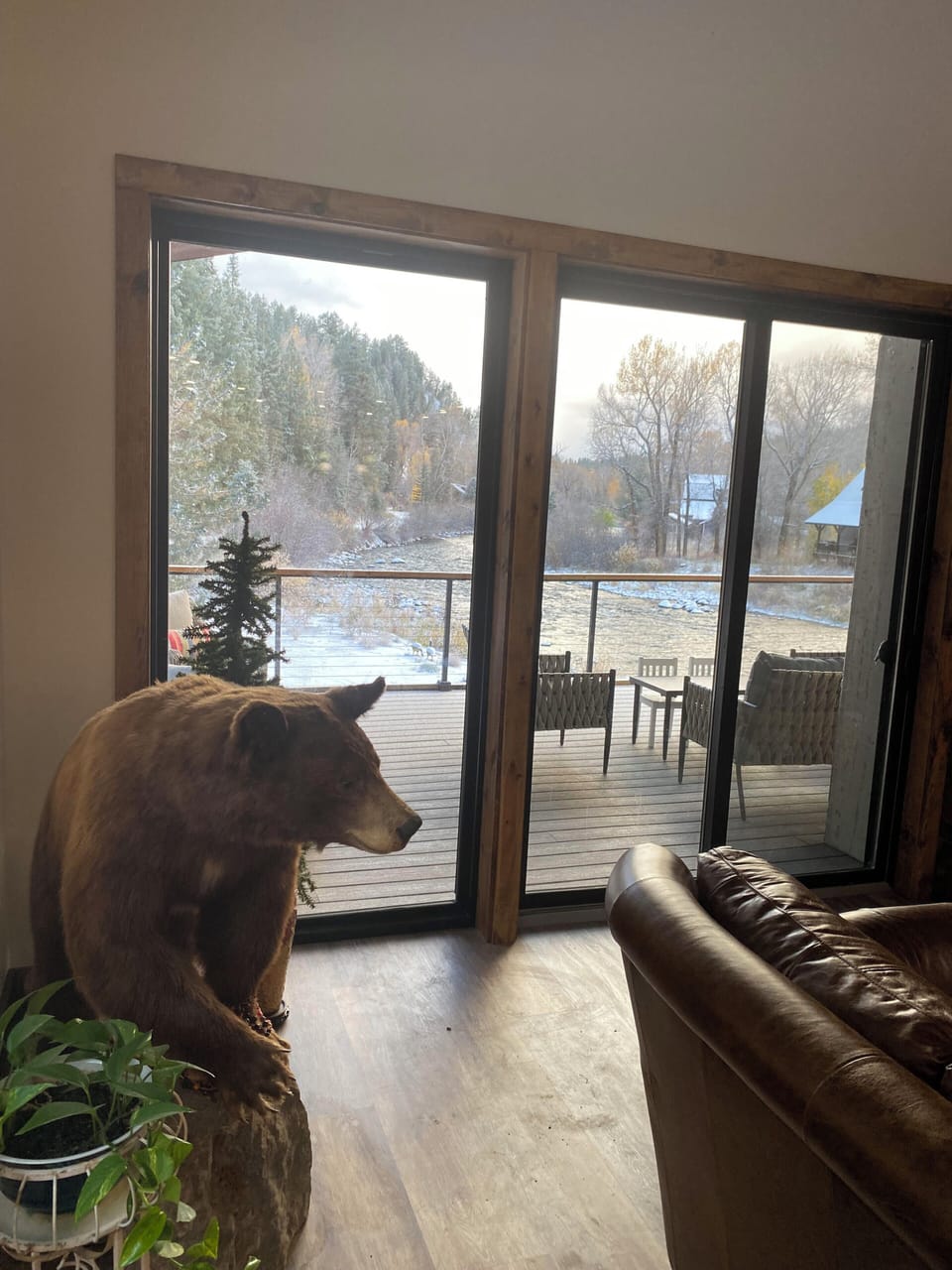 living room view