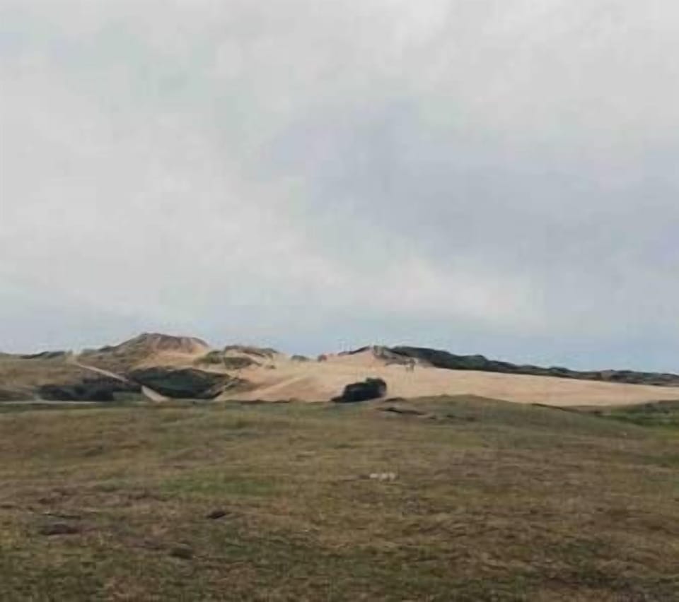 The infamous Braunton Burrows leading to Saunton Beach - a lovely walk with your family