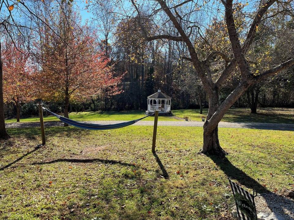 Outdoor wedding area