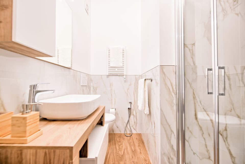 Classic Room | Bathroom | Shower, hair dryer, towels, soap