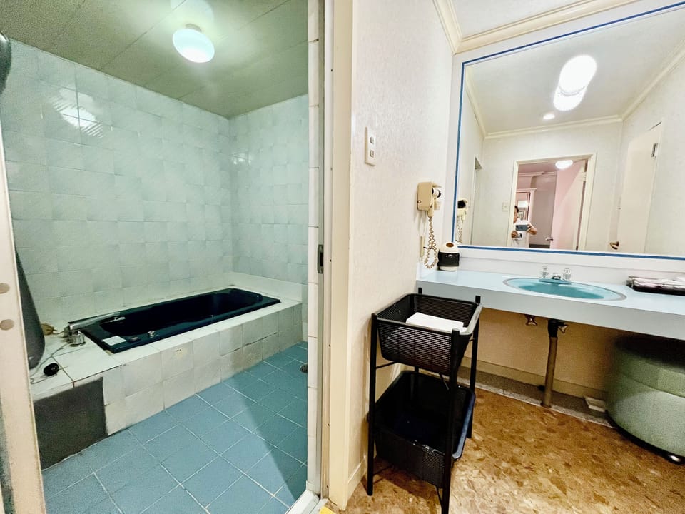 Economy Double Room, 1 Double Bed, Non Smoking, Private Bathroom | Bathroom | Separate tub and shower, free toiletries, hair dryer, slippers