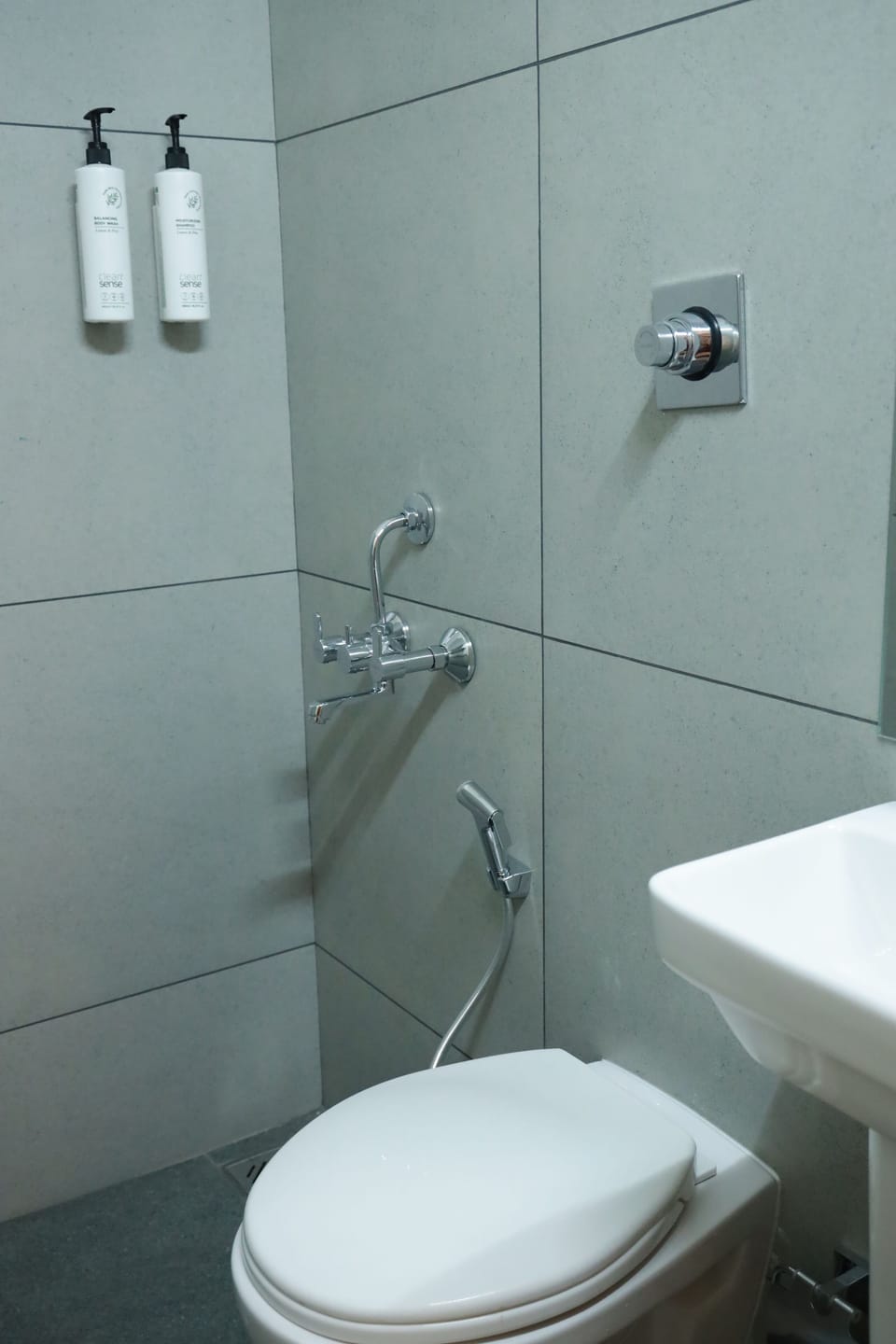 Towels, soap, shampoo, toilet paper