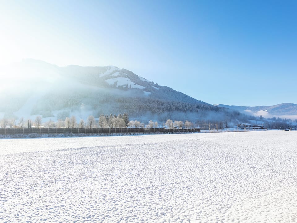 View from Holiday Home [winter]