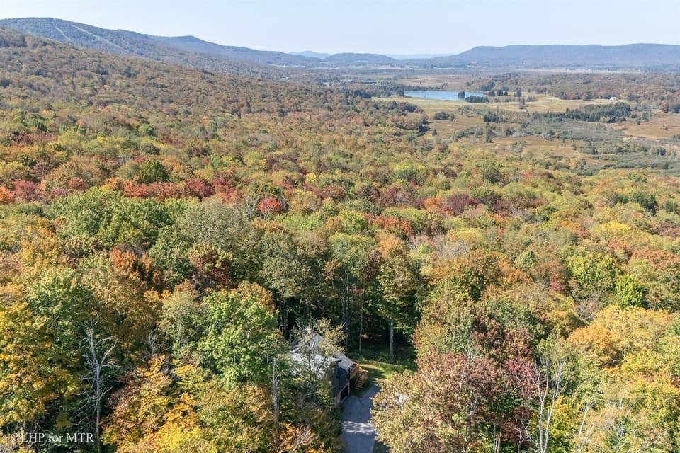 Timberline Mountain at Top Left & Spruce Island Lake at Top Right