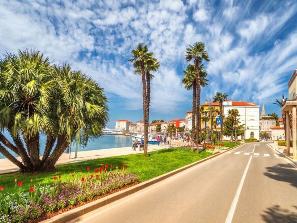 Apartment, 2 Bedrooms, Smoking, Patio | View from property