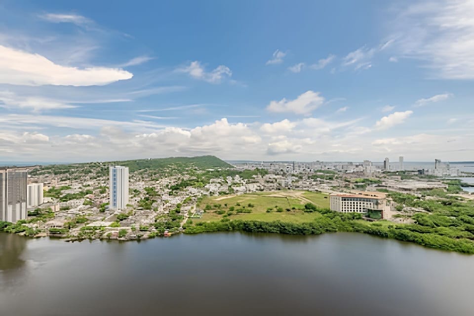 City view,Lake view