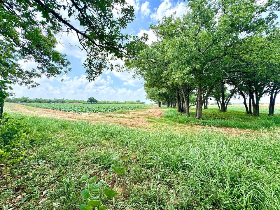 Farmland as a backdrop