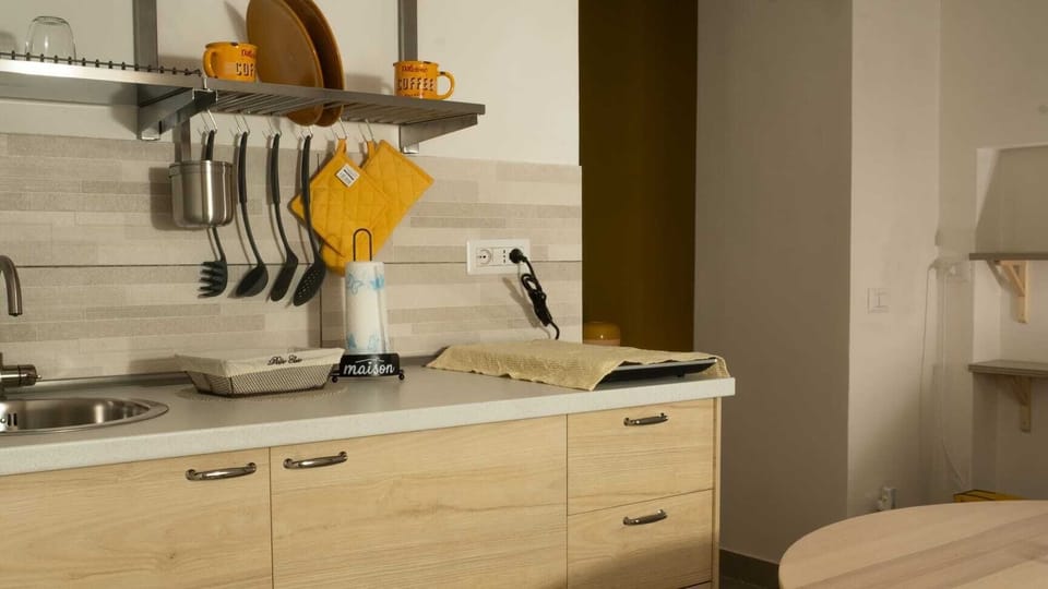 Basic Double Room, Patio | Private kitchen | Fridge, microwave, stovetop, cookware/dishes/utensils