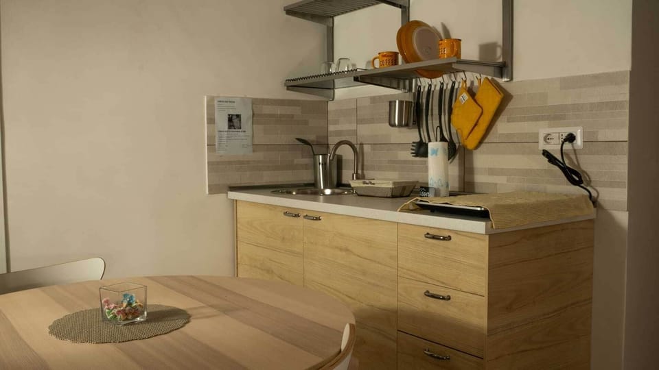 Basic Double Room, Patio | Private kitchen | Fridge, microwave, stovetop, cookware/dishes/utensils