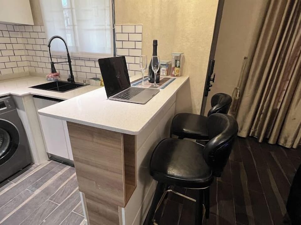 Junior Apartment, Balcony, City View | Private kitchen | Fridge, microwave, oven, stovetop