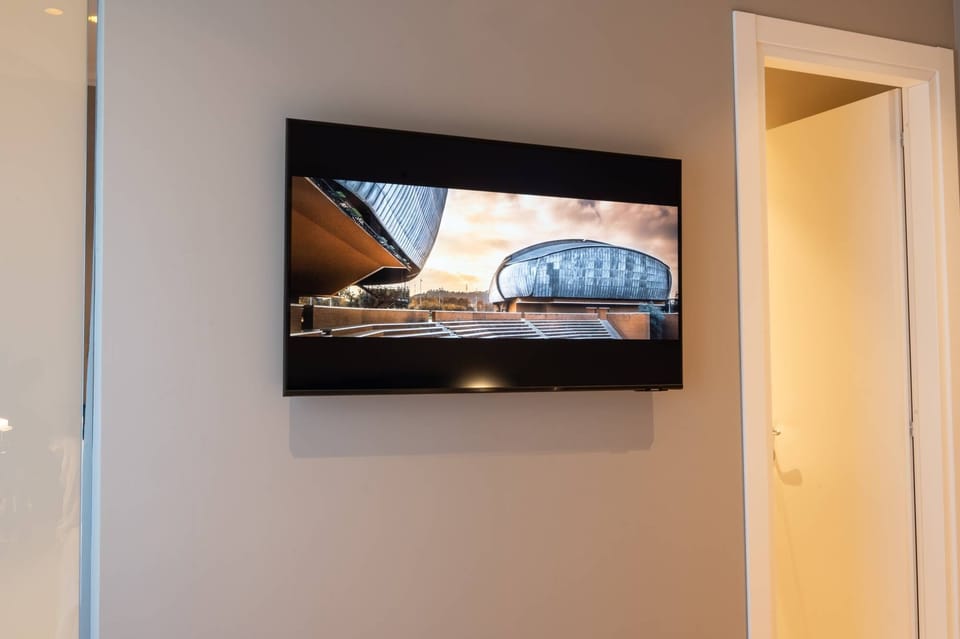 Television