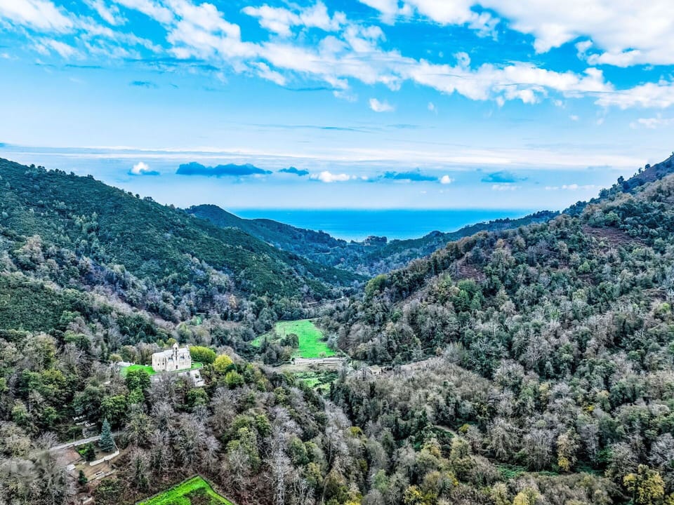 Cloud, Sky, Plant Community, Ecoregion, Plant, Natural Landscape, Mountain, Biome, Cumulus, Tree