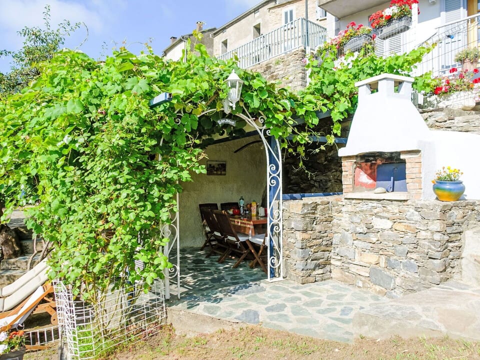 Flowerpot, Stone Wall, Garden, Shade, Flagstone, Backyard, Houseplant, Brick, Chair