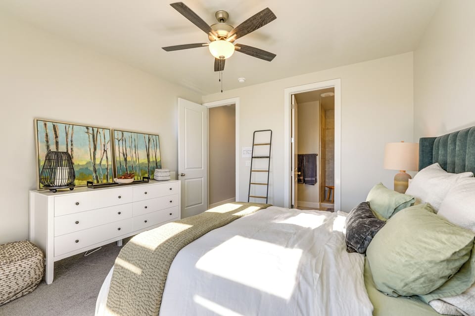 Apartment (1 Bedroom) | Interior