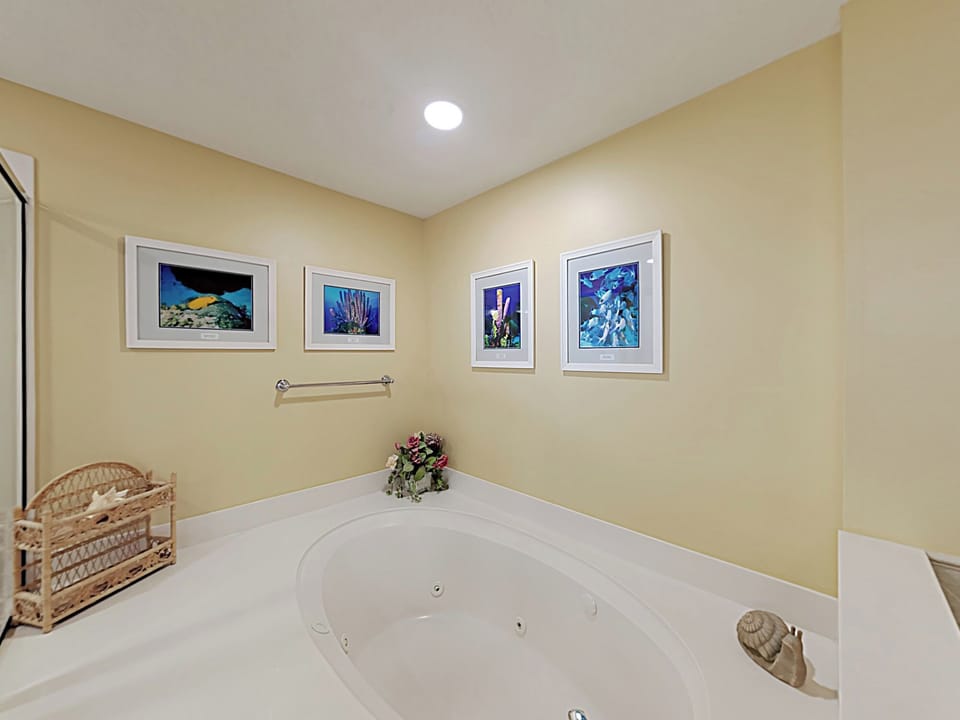 Primary Bathroom Tub