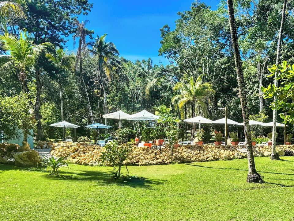 The pool area is nestled in the jungle, surrounded by vibrant flowers, lush greenery, and open blue skies.
