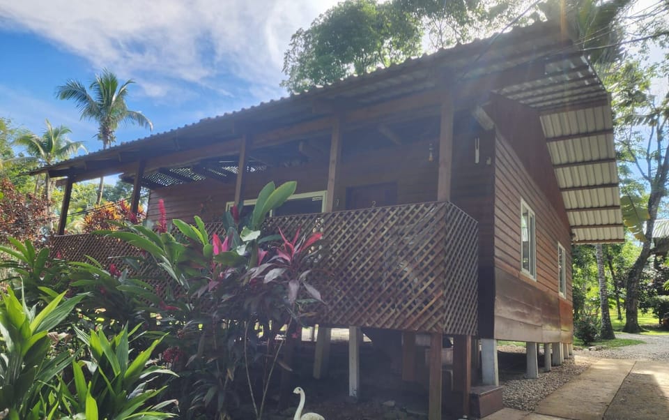 This is the outside space of the cabin, where you can see the plants around it.
