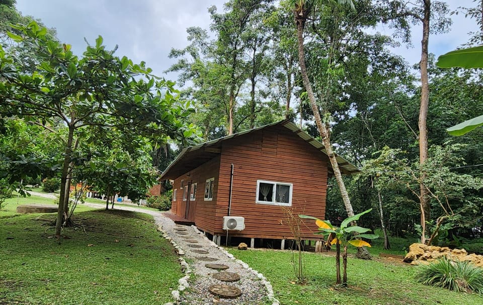 the back of the cabin where you can walk, to go to the public bathrooms or the walk to the palapa