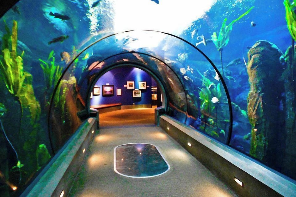 Visit the Oregon Coast Aquarium across the bay from your condo!