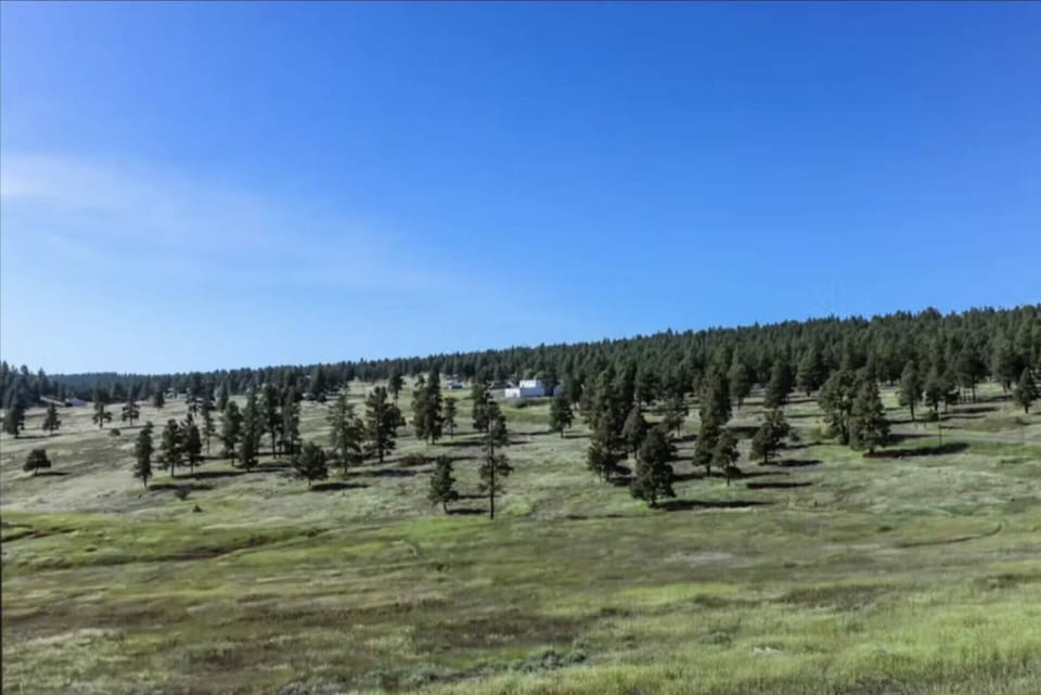 Rolling greens and wildlife galore!