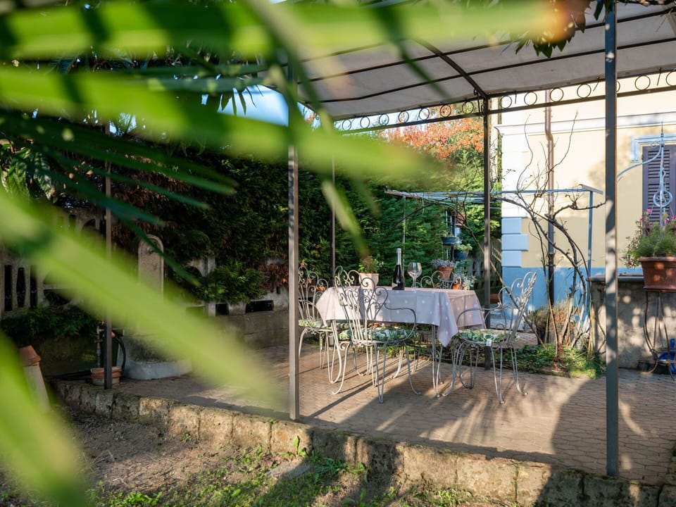 Plant, Shade, Terrestrial Plant, Flowerpot, Leisure, Grass, Urban Design, Landscape, Houseplant, Event