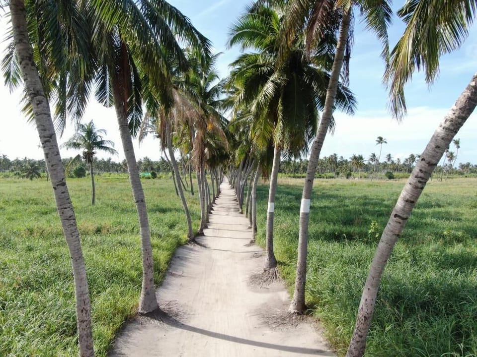 Private beach nearby, white sand