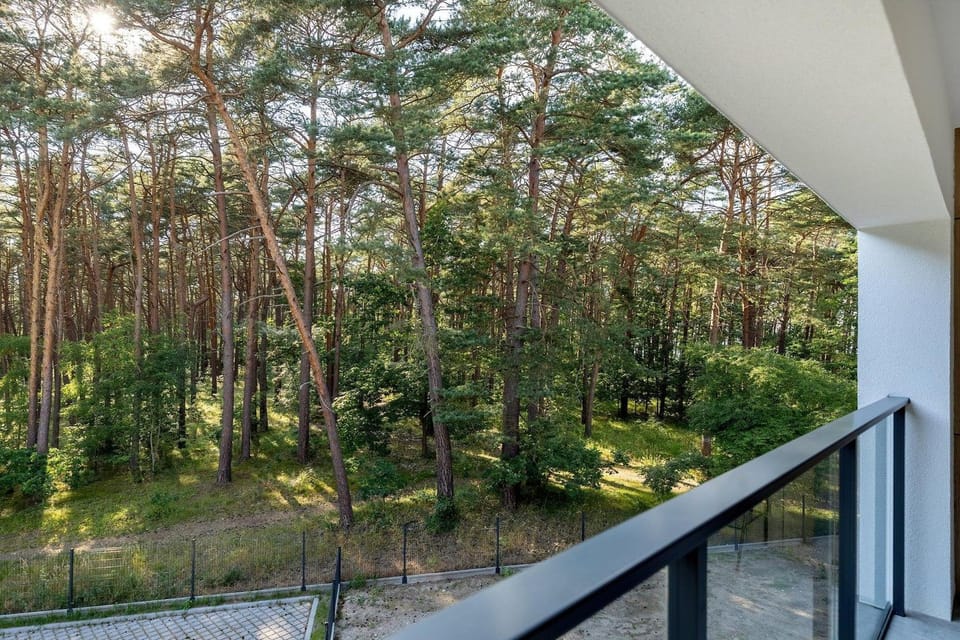View from Holiday Home [summer]