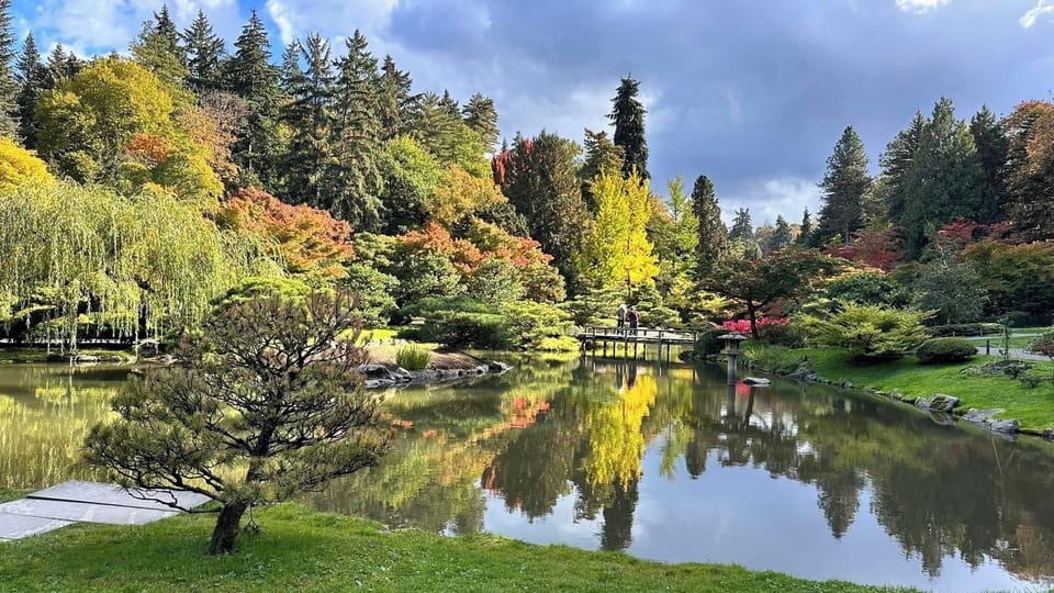 Japanese Garden tranquility