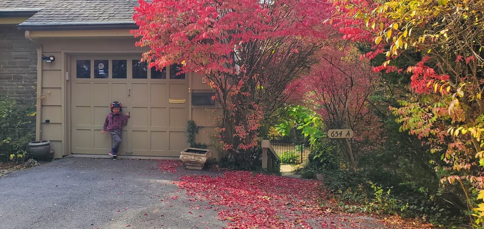 The stairs on the right of the garage lead around back to the ground level apt.