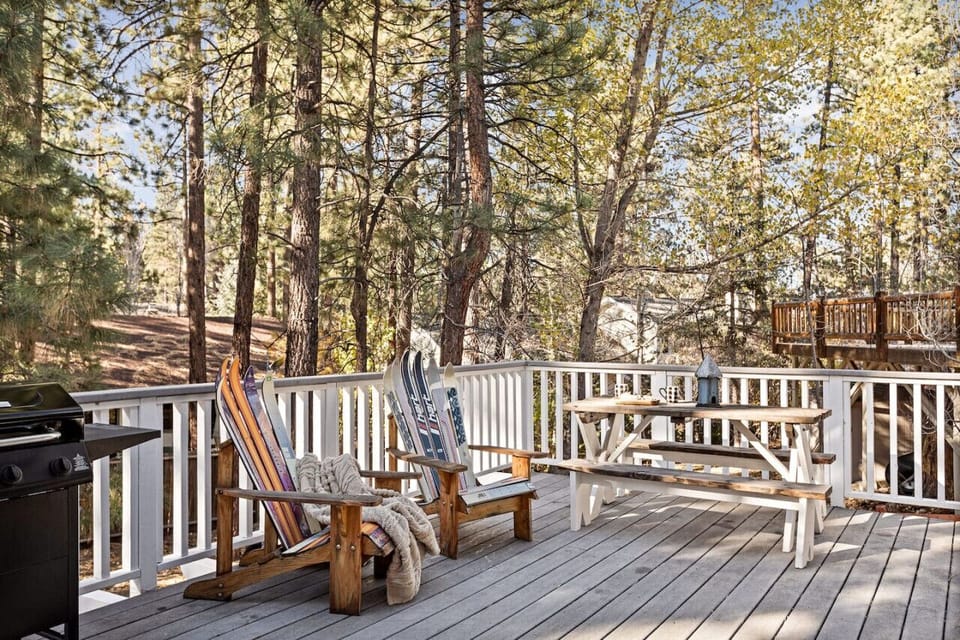 Ski themed Andorak chairs along with a picnic table with a gas propane BBQ o on the deck.