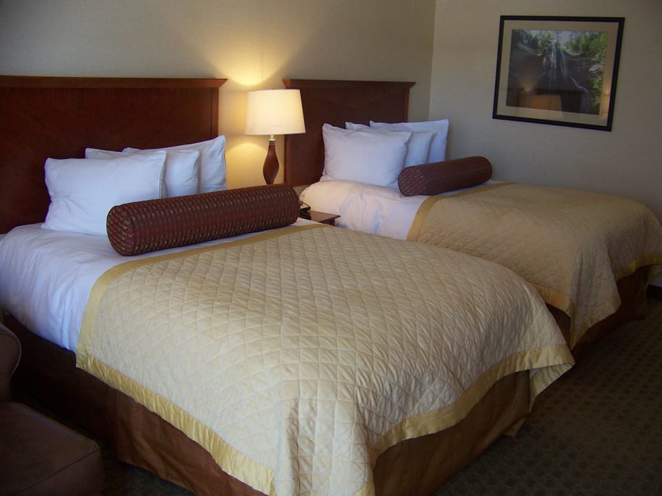 Executive Double Room (Pets Not Allowed) | Down comforters, pillowtop beds, individually decorated