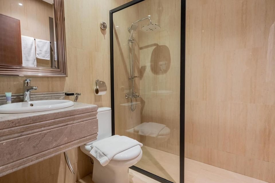 Hair dryer, towels, soap, shampoo